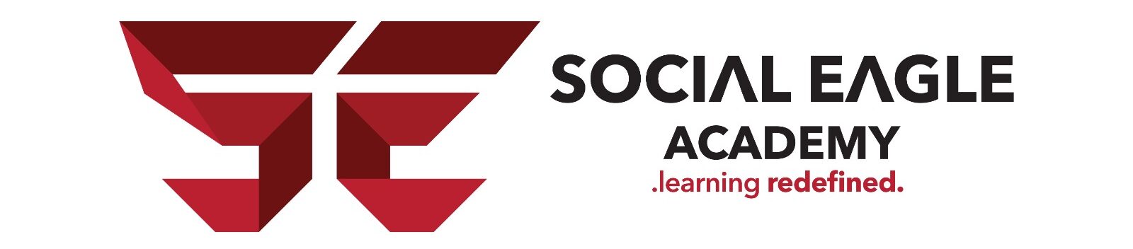 Social Eagle Academy